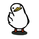 鸭的一生​​​​​​​