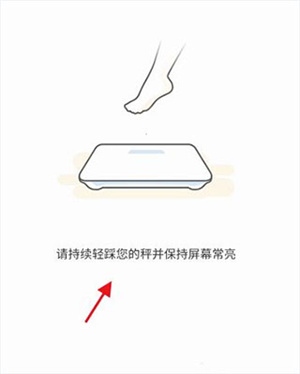 OKOK健康app免费版怎么和体脂秤连接截图5